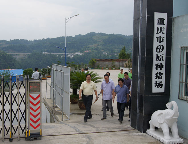 國家鄉村振興局副局長、原黔江區委書記洪天云視察重慶69